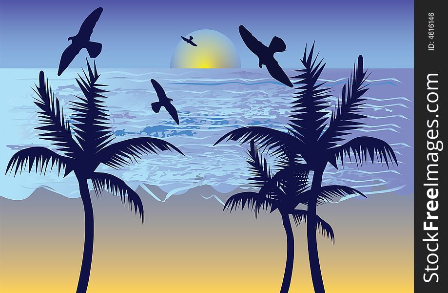 Birds on sea with palm