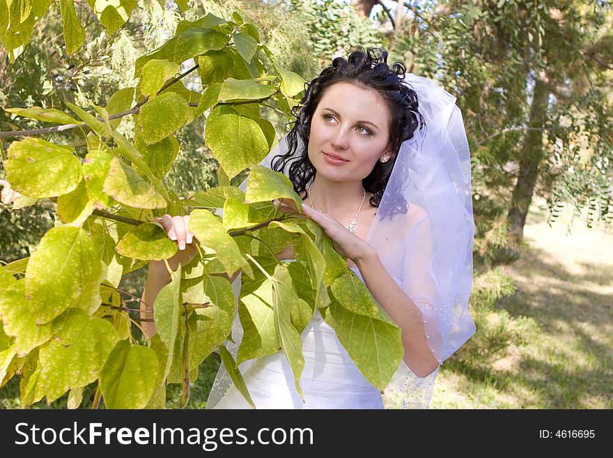 Pretty young bride hides in the green leaves of the tree. Pretty young bride hides in the green leaves of the tree