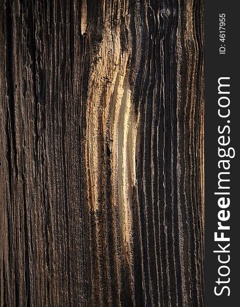 Wooden background, natural texture, close-up