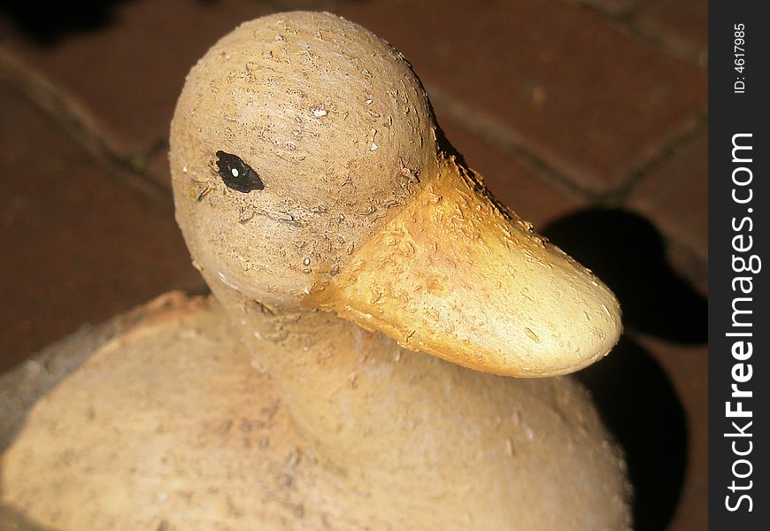 Easter duck in super close up photo