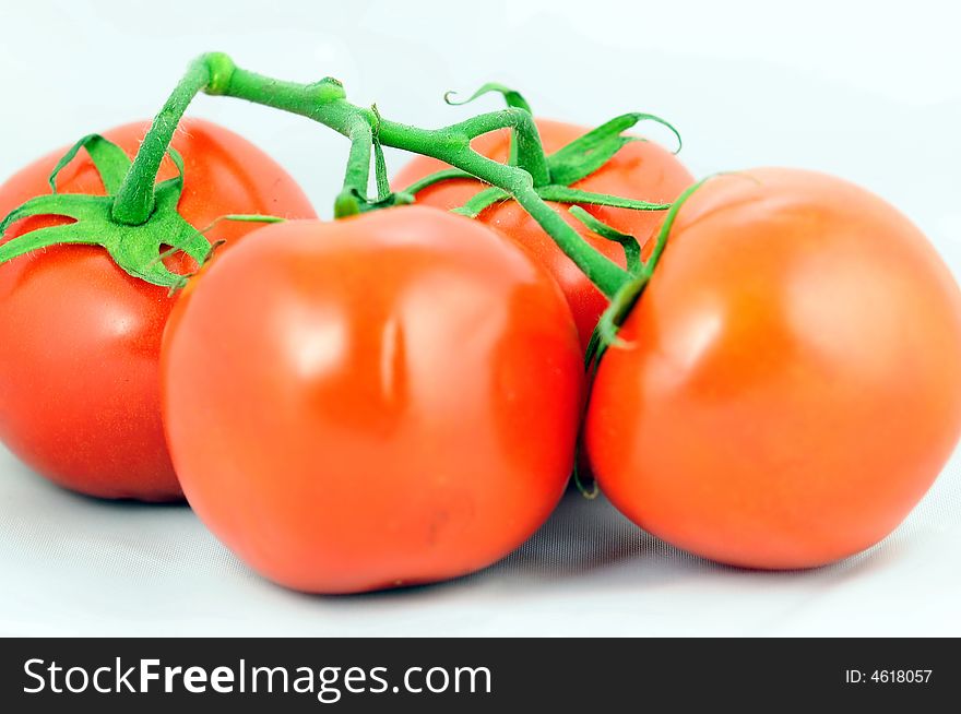 Four tomatoes on their stem and isolated