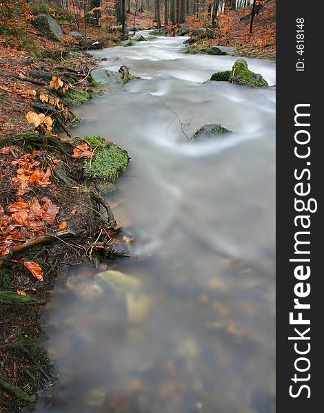 Moving water in forest brook