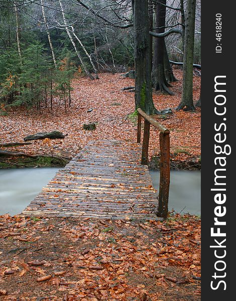 Foot bridge across the creek