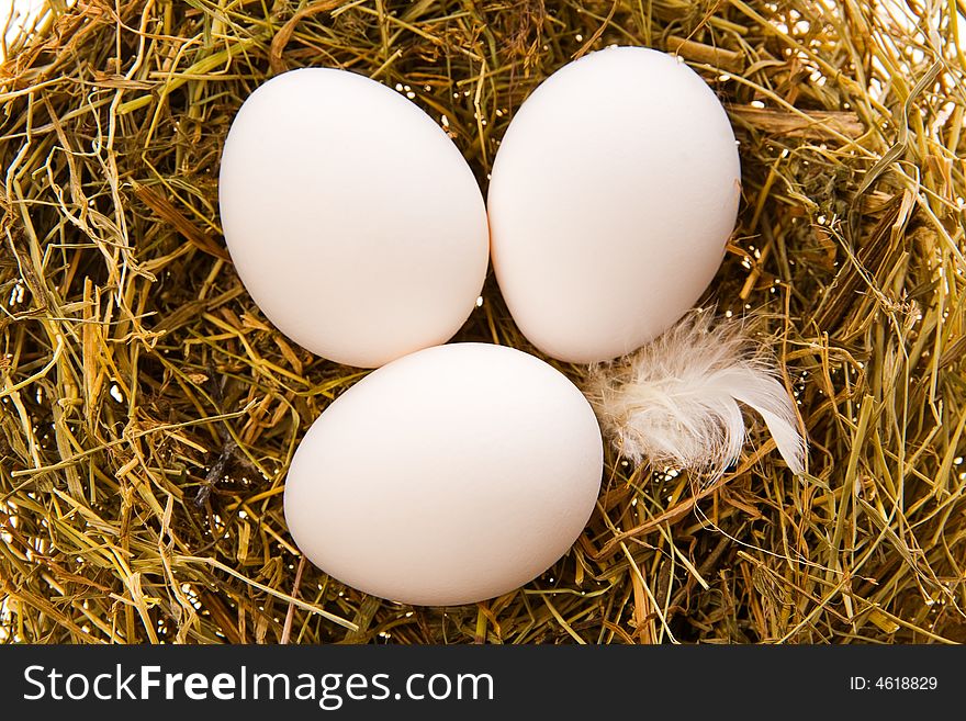 Three chicken white eggs in a nest from a dry grass close up. Three chicken white eggs in a nest from a dry grass close up