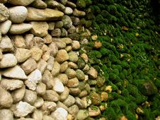 Nature-boundary Royalty Free Stock Photos Nature-boundary Royalty Free Stock Photos