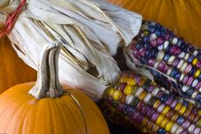 Autumn Still Life Stock Photos Autumn Still Life Stock Photos