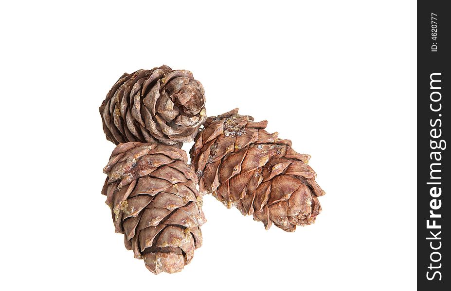 Cones isolated on a white background