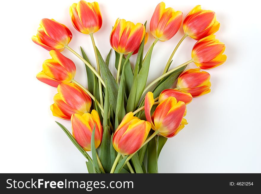 Symbol of heart made with red yellow tulips. Symbol of heart made with red yellow tulips