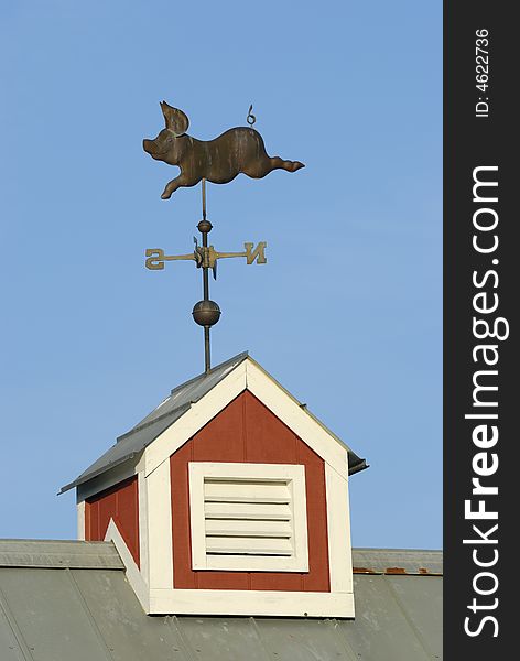 Pig weather Vane on red Cupola. Pig weather Vane on red Cupola