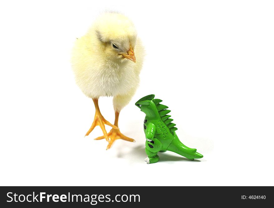 Chicken and dinosaur encounter stranger strange