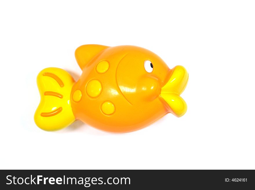 Lovely fish with yellow color