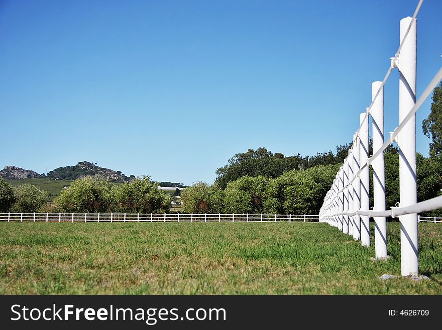 Portrait of empty rural farm field