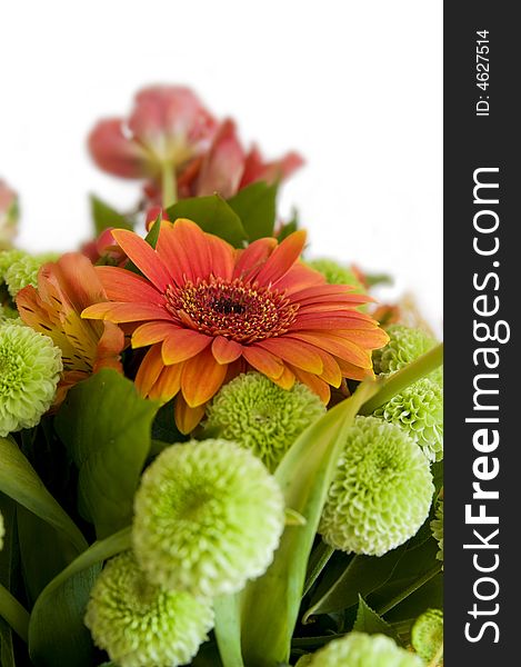 Close-up bouquet of flowers isolated