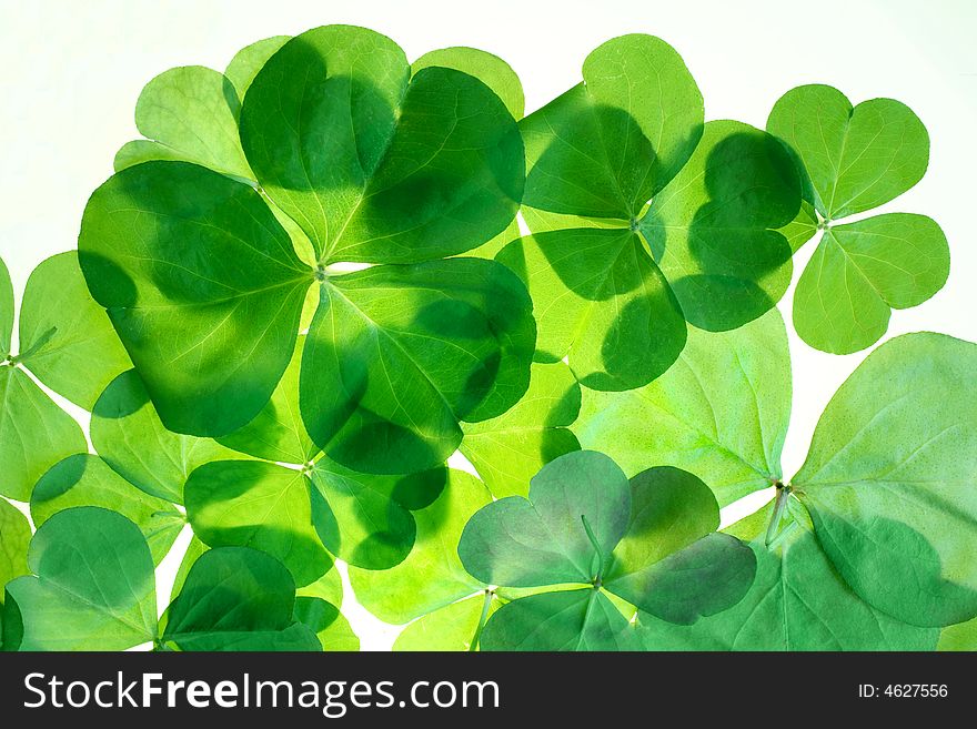 Lucky St.Patricks day symbols. Lucky St.Patricks day symbols