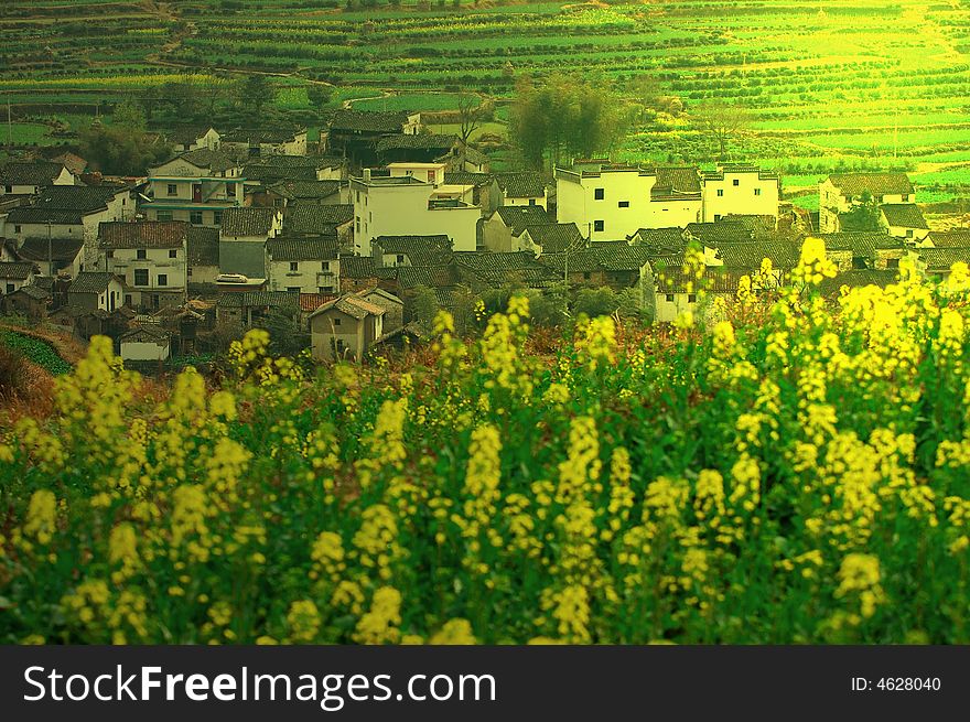 Typical scene in the Wuyuan of Jiangxi Province, the best beautiful village of China