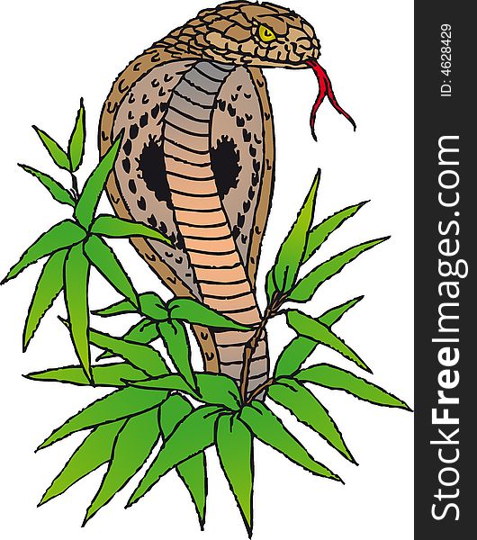 Illustration of a cobra in ing style