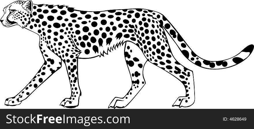 Illustration of a ghepard in ing style