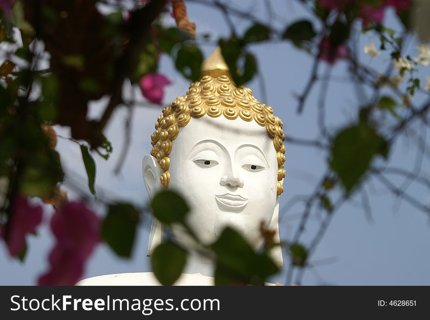 Buddha Image in blue sky