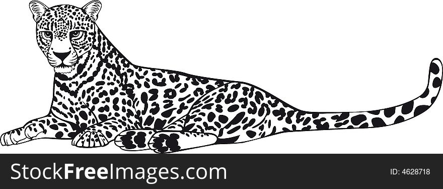 Illustration of a leopard in relax