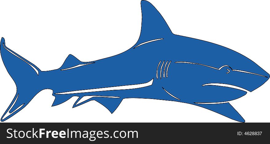 Iluustration of blue shark in vectoring style