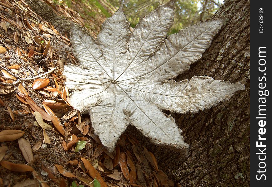 A rock leaf leaning on an oak tree with foliage in the distance. A rock leaf leaning on an oak tree with foliage in the distance