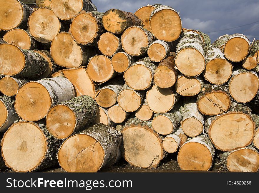 Pile Of Birch Logs