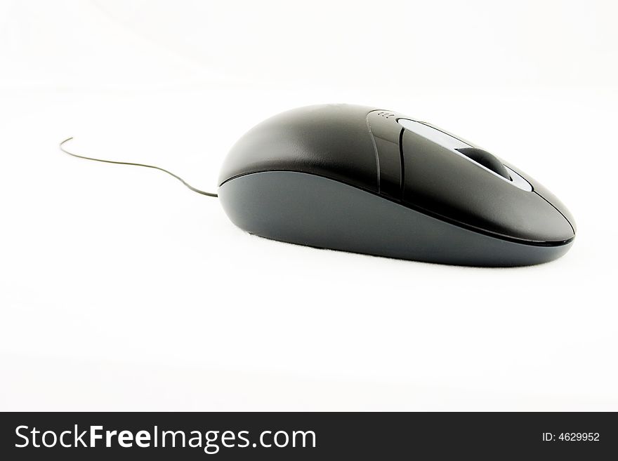 Black mouse with line, looks like real mouse