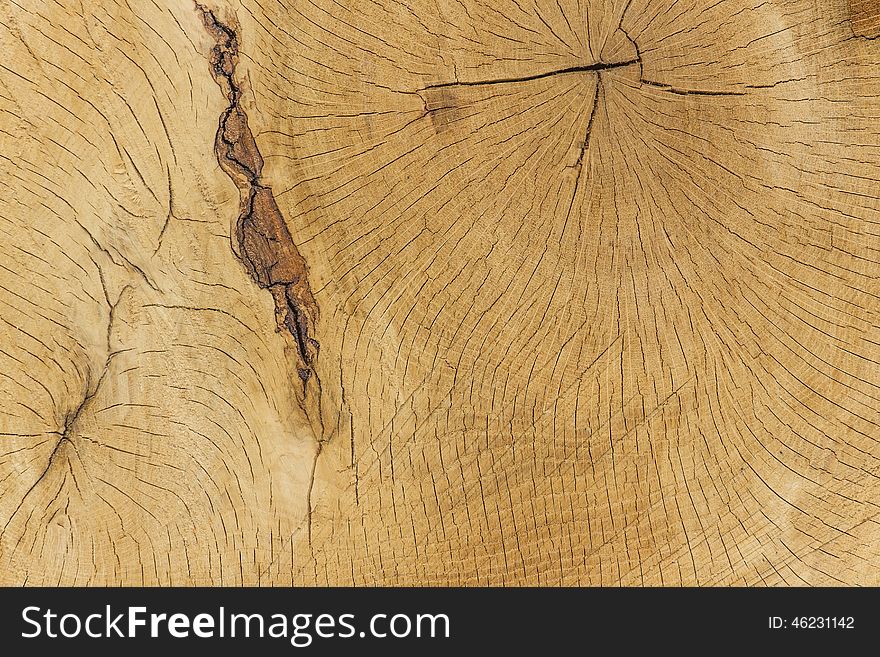 Wood double round texture for background