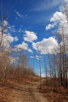 Clouds Above Woods Royalty Free Stock Photo Clouds Above Woods Royalty Free Stock Photo
