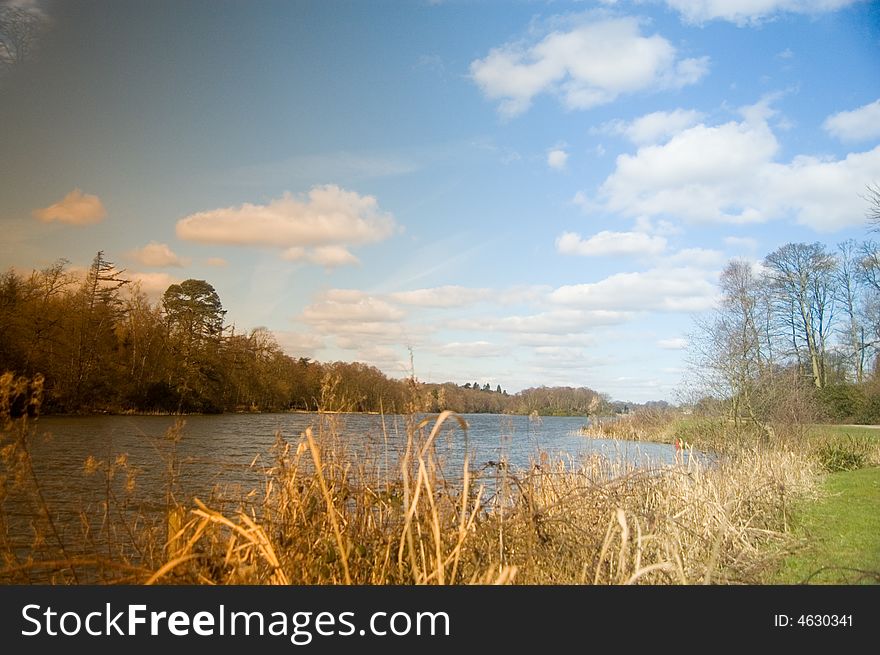 Portrait Of The Lake