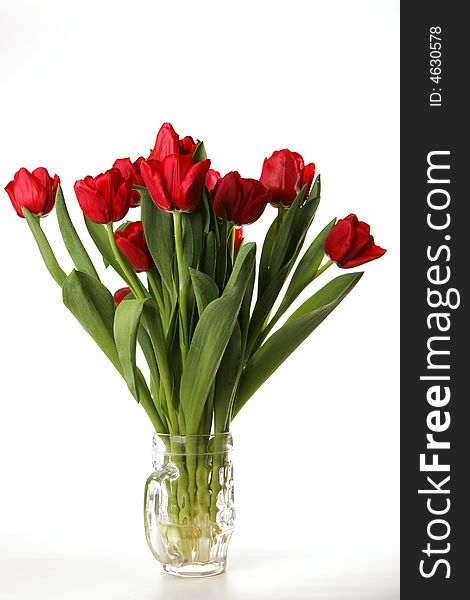 A bunch of red tulips in a cut glass beer-mug, white background. A bunch of red tulips in a cut glass beer-mug, white background.