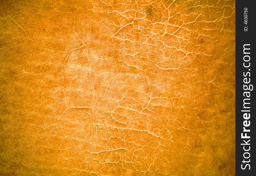 Leather Texture 2