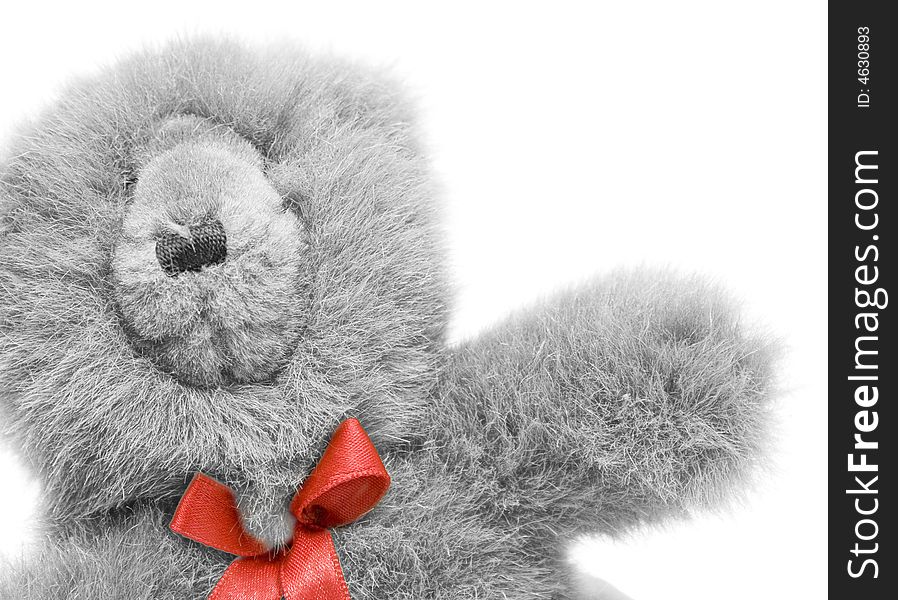 Bear Toy Isolated On White