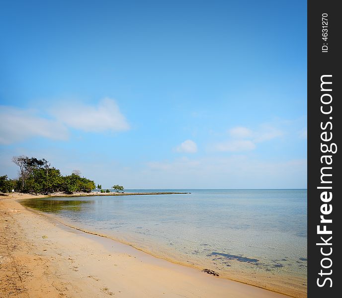 Tropical beach with vegetation