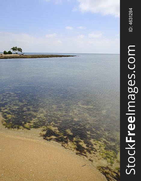 Detail of quiet solitary beach with marine vegetation