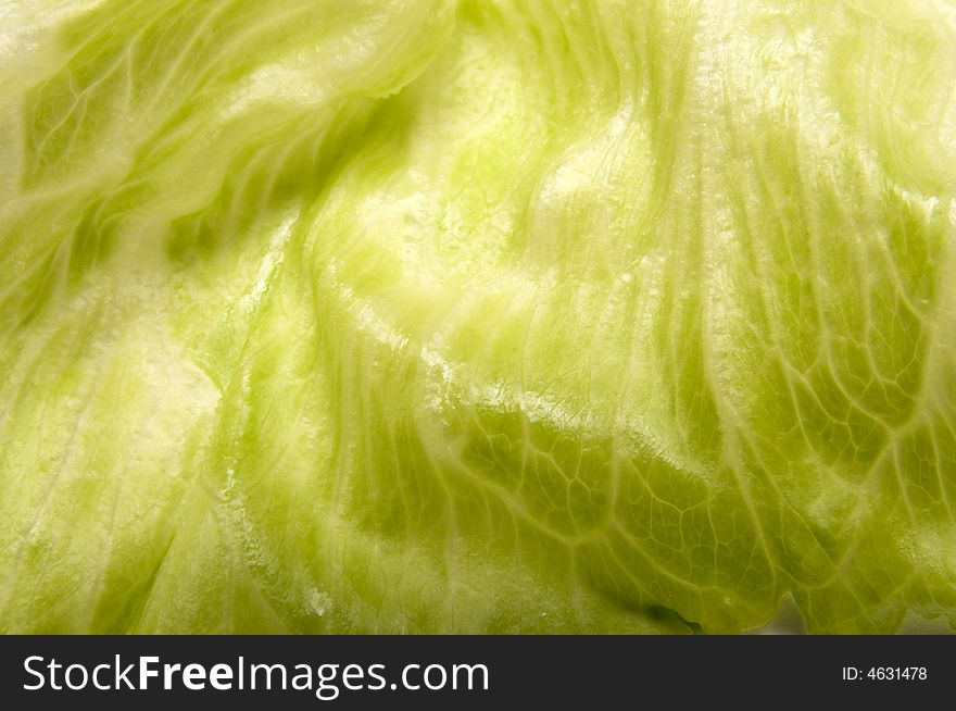 Background,leaf of cabbage close up. Background,leaf of cabbage close up.