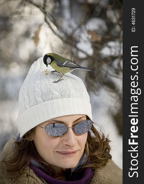 Great Tit on girl s head
