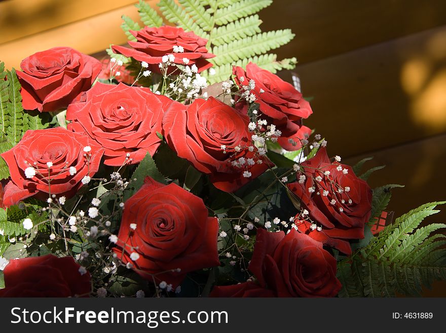 Bunch of red roses at sunlight