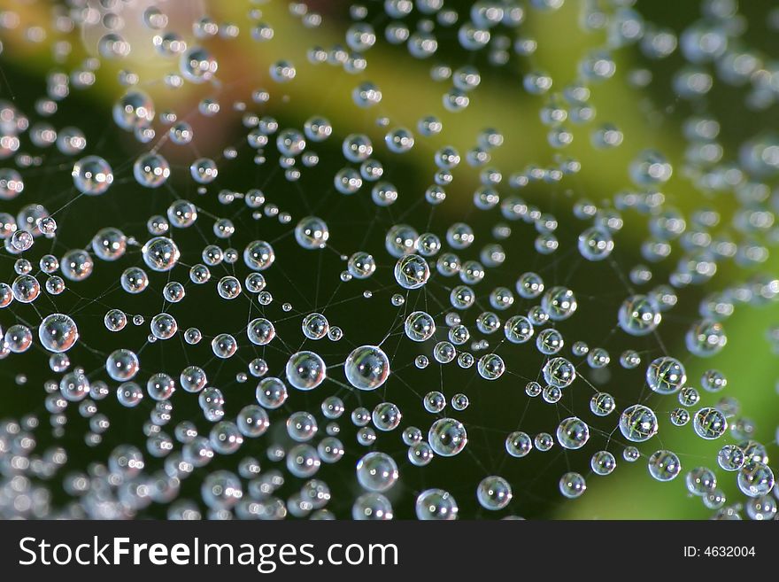 Many small dewdrops on a tiny cobweb. Many small dewdrops on a tiny cobweb
