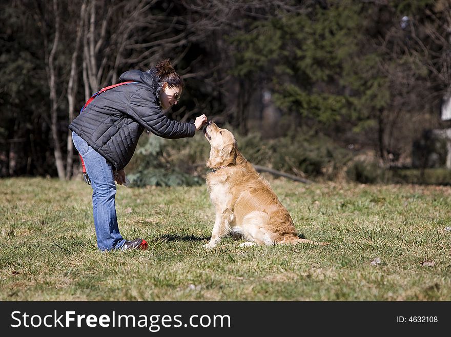 Girl playing with her dog. Girl playing with her dog