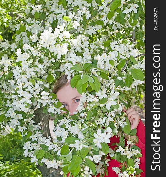 Happy girl hiding in the spring blooming apple tree flowers. Happy girl hiding in the spring blooming apple tree flowers