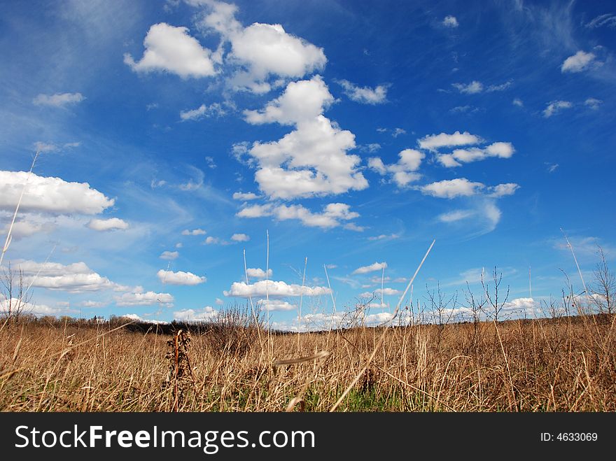 Sky and clouds above grass