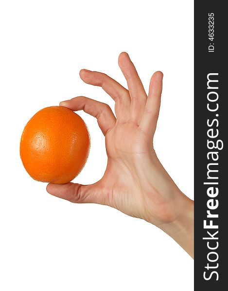 Orange In Hand