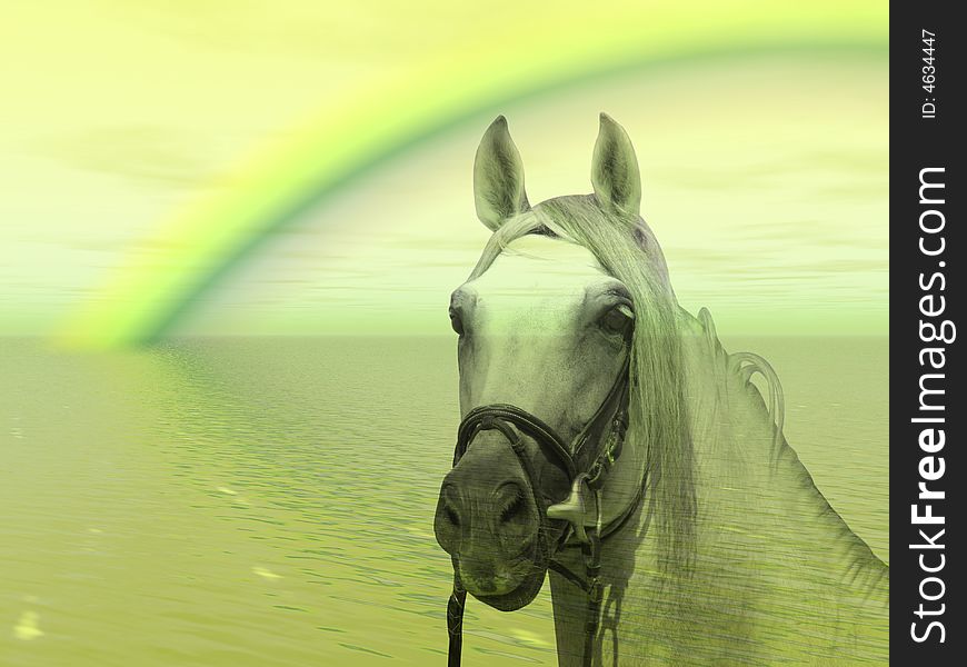 Horse In The Rainbow