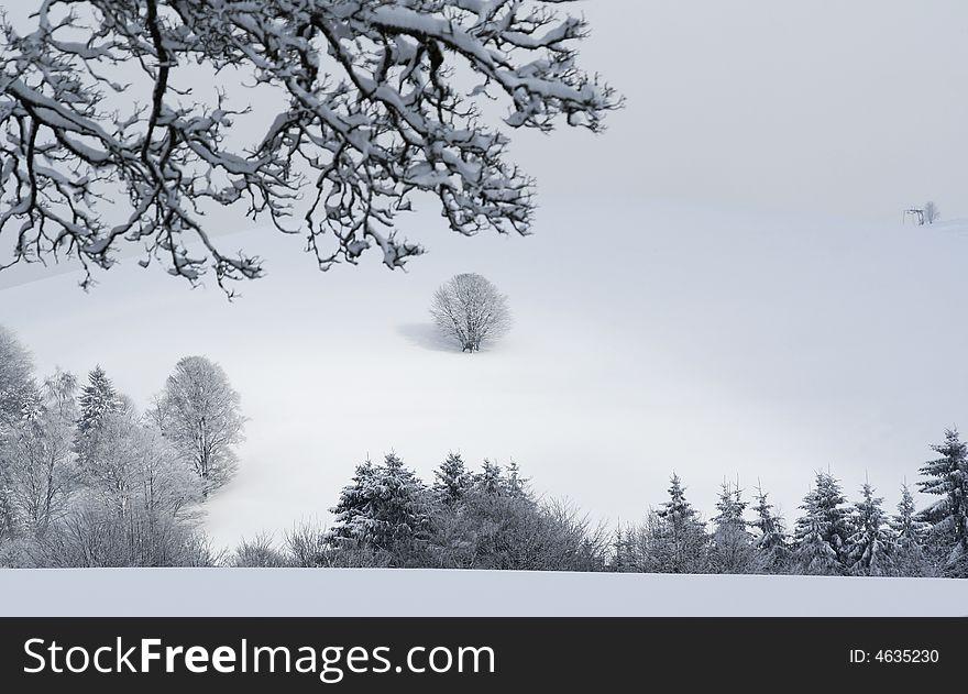 Winter Landscape, Small Tree