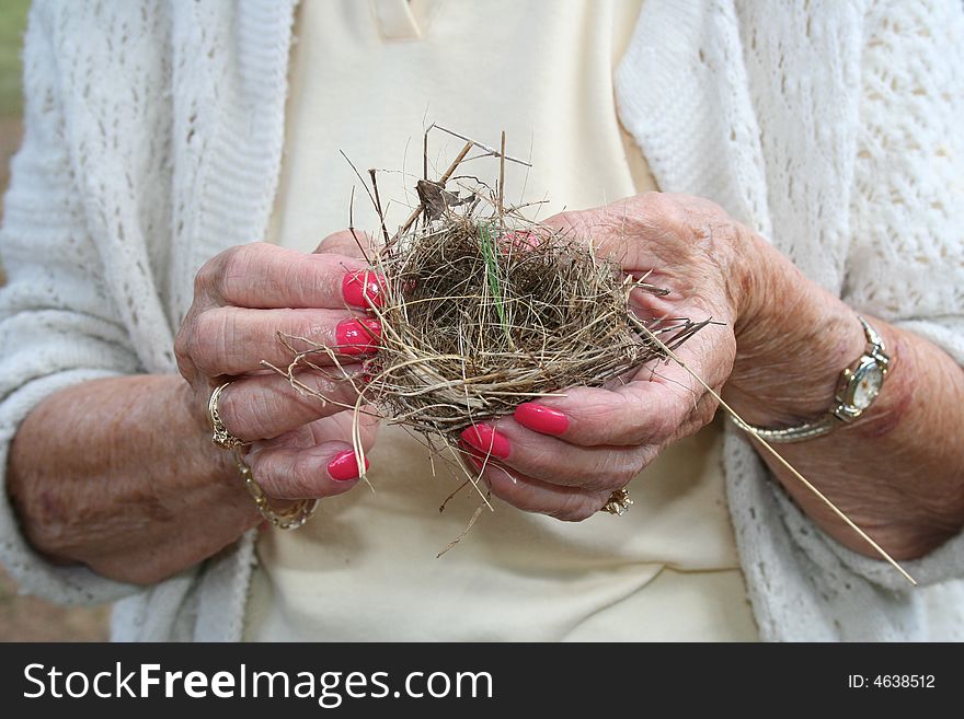 Bird nest held in elderly woman's hands.