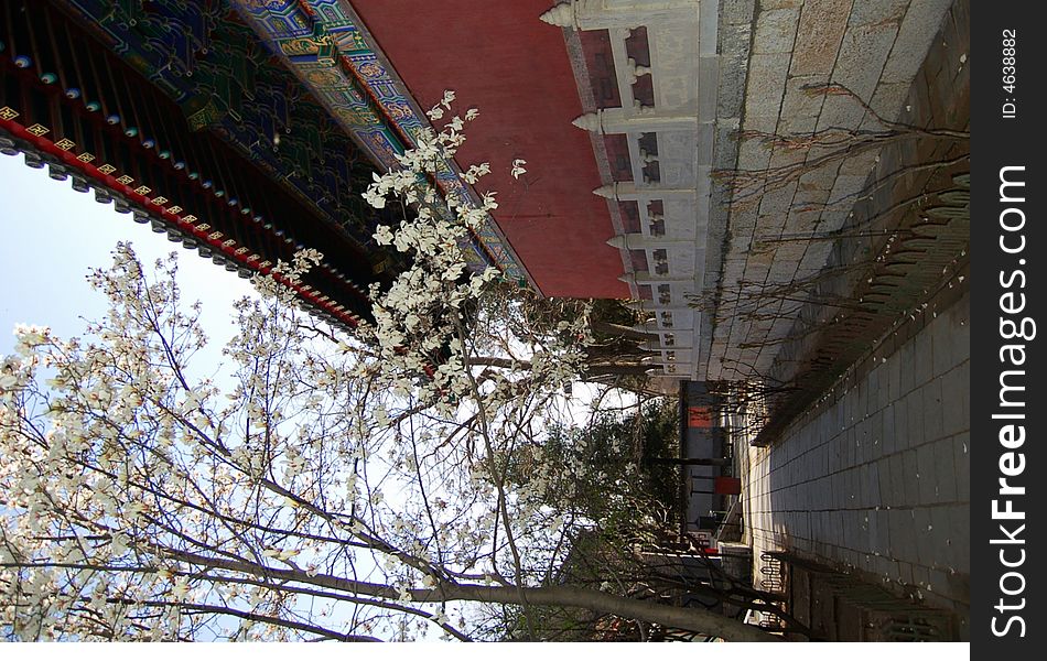 Beijing tourist attractions Huairou Gongluoshi temple. Beijing tourist attractions Huairou Gongluoshi temple
