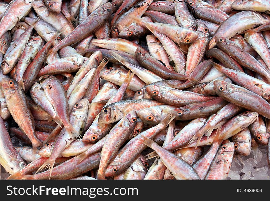 Red mullets in local fish market