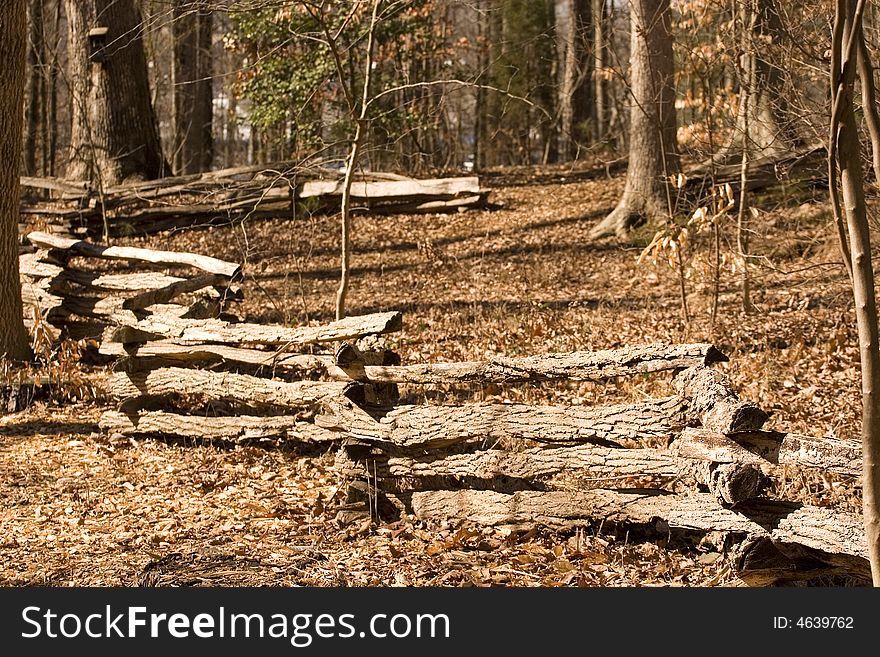 Split Rail Fence In Forest