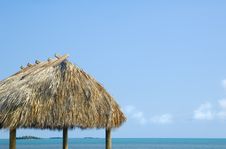 Tropical Hut Royalty Free Stock Image Tropical Hut Royalty Free Stock Image